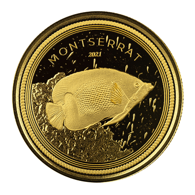 A picture of a EC8 Montserrat Blue Girdled Angelfish 1 oz Gold Coin (2021)